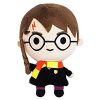 Harry Potter - Pluche Harry 15cm