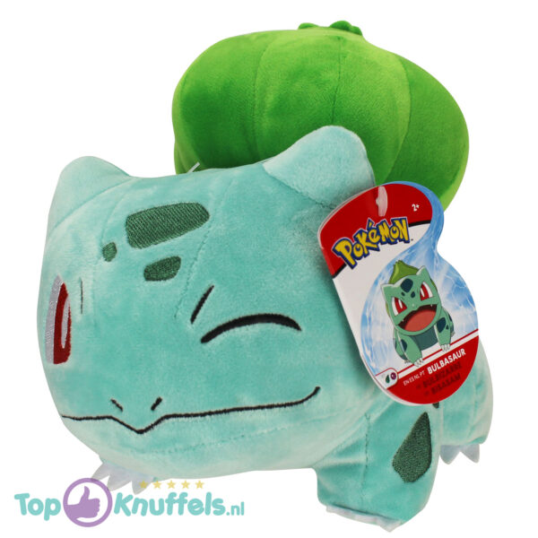 Pokemon Bulbasaur Knipoog Pluche Knuffel 22 cm