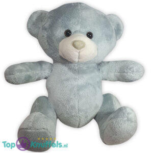 Pluche Teddybeer Knuffel Grijs Knuffelbeer 25 cm