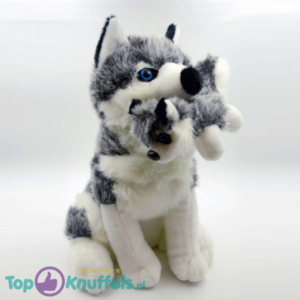 Husky Met Baby Pluche Hond Knuffel