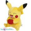 Pokemon Pikachu met appeltje pluche knuffel 30 cm