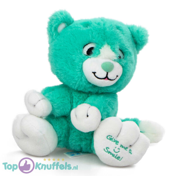 Turqoise Pluche Knuffel Kat (Give Me A Smile) 20 cm