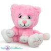 Roze Pluche Knuffel Kat (Give Me A Smile) 20 cm