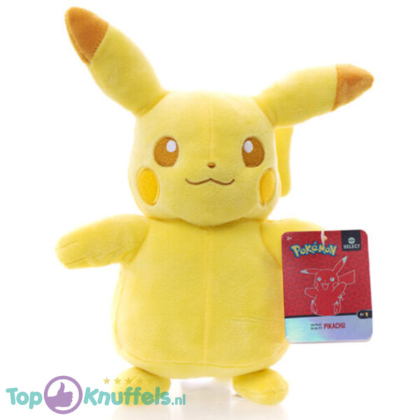 Pokemon Pikachu Tonal Pluche Knuffel 23 cm (Special Edition) (Collectors Item)