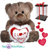 Teddybeer Bruin Pluche Knuffel