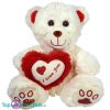 Teddybeer met Hart "I Love You" (Rood/Wit) Pluche Knuffel 25 cm