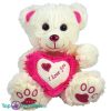 Teddybeer met Hart "I Love You" (Roze/Wit) Pluche Knuffel 25 cm