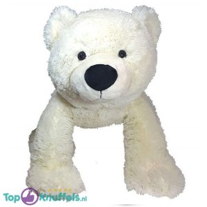Teddybeer IJsbeer Pluche Knuffel (Wit) 50 cm