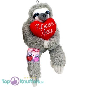 Luiaard met Rood Hart "I Love You" Pluche Knuffel 40 cm