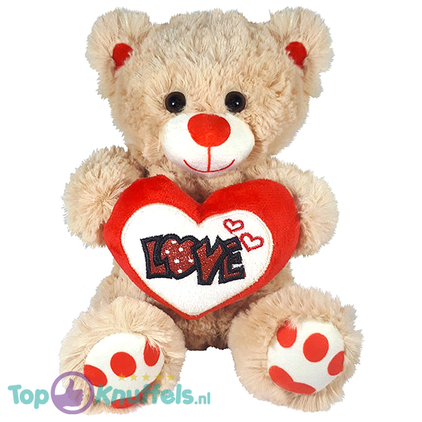 Wereldrecord Guinness Book Ziek persoon Internationale Teddybeer Pluche Knuffel met Hart 23 cm kopen? Topknuffels.nl