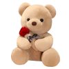 Teddybeer met Roos pluche knuffel Love Valentijn
