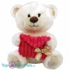 Teddybeer Lichtbruin met Roze Enveloppe 20 cm