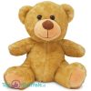 Teddybeer (Beige) Pluche Knuffel 25 cm