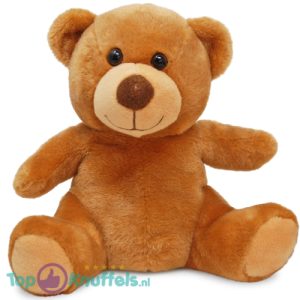 Teddybeer (Bruin) Pluche Knuffel 25 cm