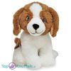 Hond Sint Bernard Pluche Knuffel 22 cm