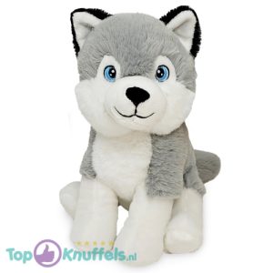 Hond Husky Pluche Knuffel 22 cm