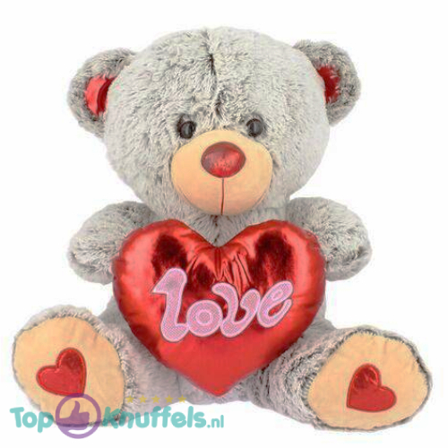 Teddybeer Grijs met Rood Hart Love Pluche Knuffel 22 cm