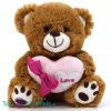 Teddybeer Love met Hart en Strik (Bruin/Lichtroze) Pluche Knuffel 22 cm