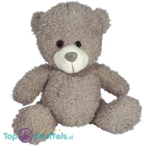 Teddybeer Zittend Grijs Harig Pluche Knuffel 27 cm