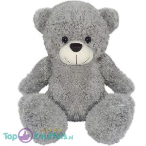 Teddybeer Eddy Pluche Knuffel (Grijs) 30 cm