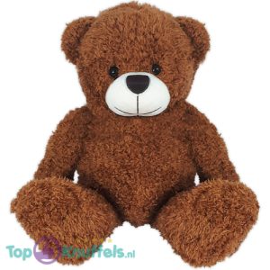 Teddybeer Eddy Pluche Knuffel (Bruin) 30 cm