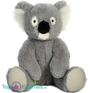Koala Pluche Knuffel XL 65 cm