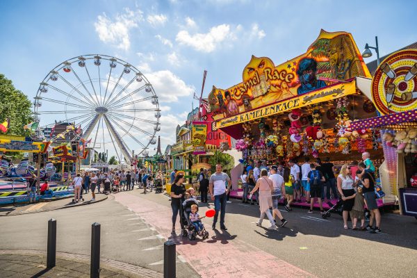 Kermis knuffel beer kopen