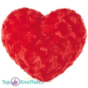 Rood Hart Liefdes Pluche Knuffel 25 cm