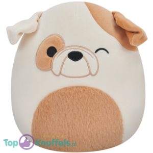 Squishmallows Brock Bulldog Pluche Knuffel 20 cm