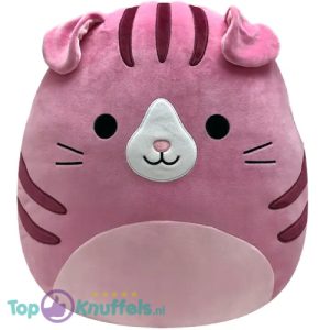 Squishmallows Geraldine Roze Kat Pluche Knuffel 50 cm XL