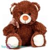 Teddybeer Fuzzy Bruin met Strikje Pluche Knuffel 20 cm