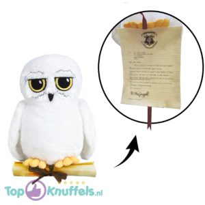 Hedwig met Brief - Harry Potter Pluche Knuffel 20 cm