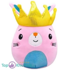 Konijn - Fisher-Price Squishy Pluche Knuffel 25 cm