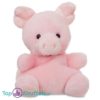 Palm Pals Varken Pluche Knuffel 15 cm
