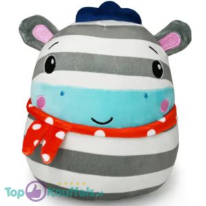 Zebra - Fisher-Price Squishy Pluche Knuffel 25 cm