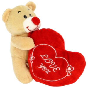 Teddybeer Staand met Rood Hart Pluche Knuffel 20 cm