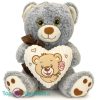 Teddybeer Grijs met Hart en Strik Pluche Knuffel 30 cm