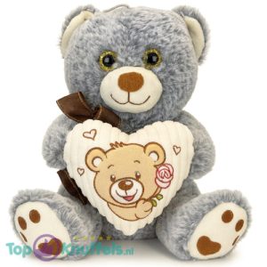 Teddybeer Grijs met Hart en Strik Pluche Knuffel 30 cm