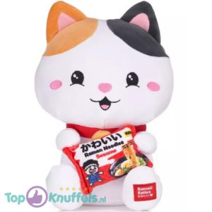 Kat met Noodles Pluche Knuffel Squishy 25 cm