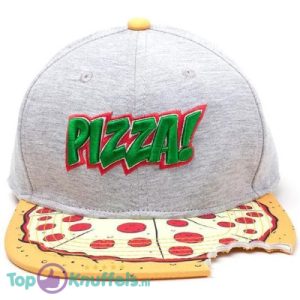 Teenage Mutant Ninja Turtles Snapback Pet