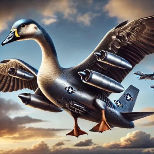 Bombombini Gusini Italian Brainrot Pluche Knuffel 30 cm - Gans Eend Vliegtuig - Afbeelding 2