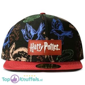 Harry Potter Snapback Pet