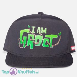 Marvel Guardians Of The Galaxy Kinder Snapback Pet