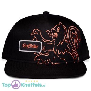 Harry Potter Snapback Pet