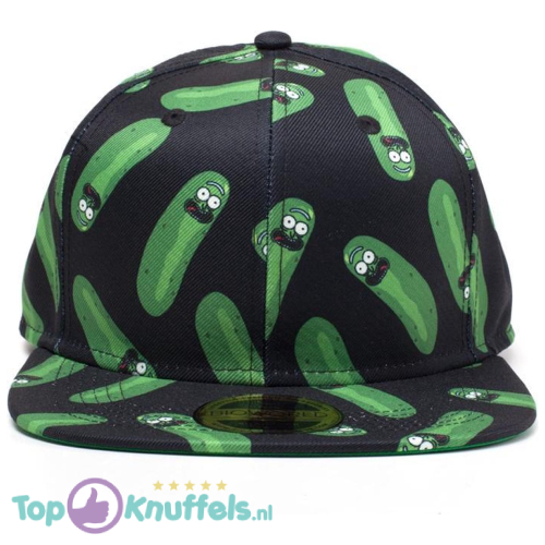 Rick & Morty Snapback Pet