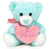 Teddybeer Turquoise met Hart Kiss Pluche Knuffel 30 cm