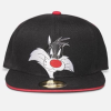 Looney Tunes Space Jam Snapback Pet
