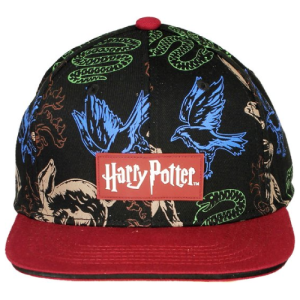 Harry Potter Snapback Pet