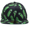 Rick & Morty Snapback Pet