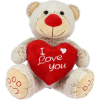 Teddybeer Grijs met Rood Hart I Love You Pluche Knuffel 45 cm